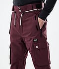 Iconic 2021 Spodnie Snowboardowe Mężczyźni Burgundy, Zdjęcie 4 z 6