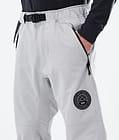 Blizzard LE Ski Pants Men Limited Edition Stripe Light Grey, Image 4 of 4