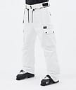 Iconic Skihose Herren Whitish